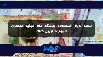 سعر الريال السعودي يستقر أمام الجنيه المصري اليوم 12 أبريل 2025